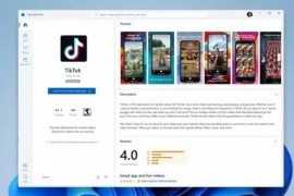 tiktok的网页版观看方法，一文了解访问方式及观看技巧