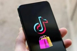 tiktok小店怎么样，揭秘tiktok小店赚钱方法